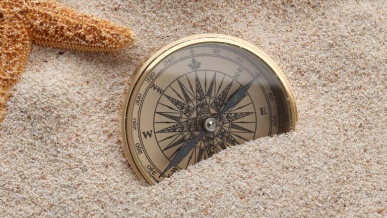 Quais São Exemplos Práticos de Missão, Visão e Valores