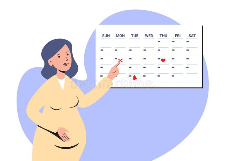 Com Quantas Semanas a Gestante Pode Se Afastar do Trabalho 5 gravida segurando calendario com semanas marcadas