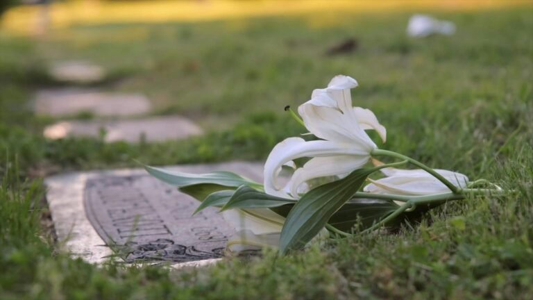 Como Fazer a Consulta para Saber se uma Pessoa Está Falecida