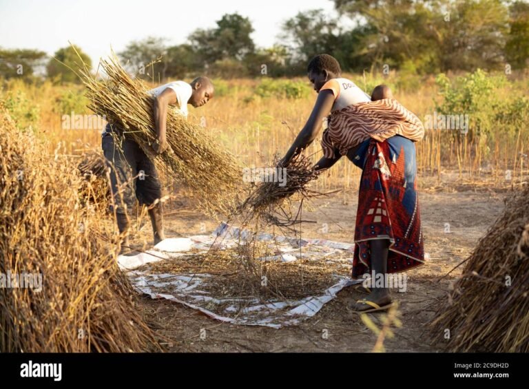 mae rural segurando bebe no campo