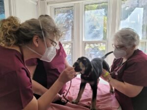 pessoa recebendo assistencia social em consultorio